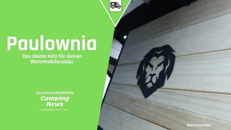 Wohnmobil Möbelbau mit Paulownia