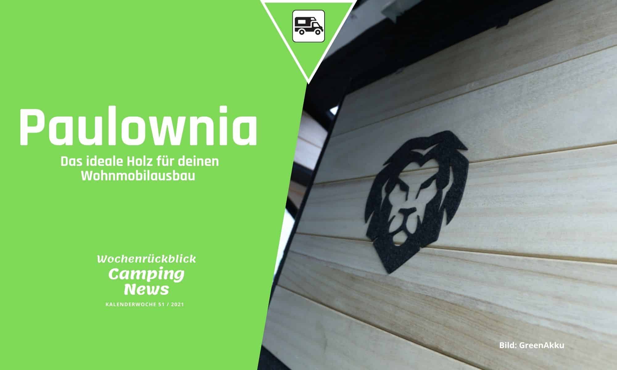 Wohnmobil Möbelbau mit Paulownia Holz