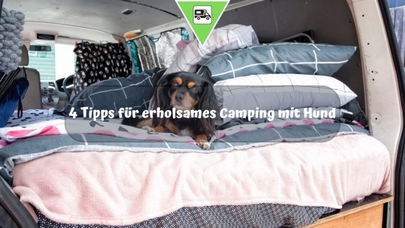4 Tipps für erholsames Camping mit Hund
