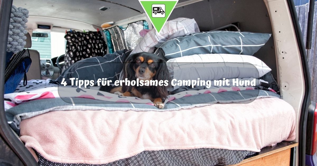 4 Tipps für erholsames Camping mit Hund